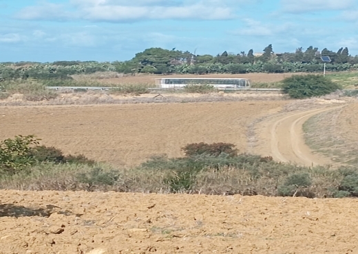 Terrain agricole, Route Ras Jebel ↔ Rafraf