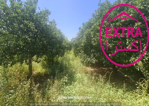 Vente campagne à Nabeul