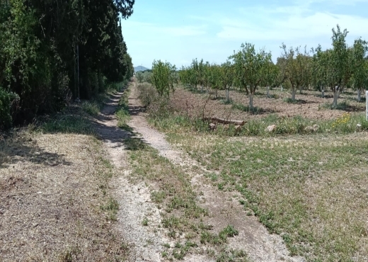 terrain agricole