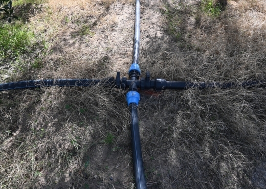 A vendre une ferme à Nabeul