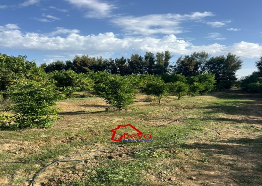 4 HECTARES A VENDRE