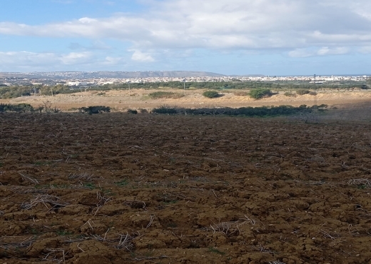 Terrain agricole, Route Ras Jebel ↔ Rafraf