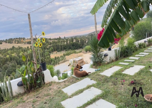 Maison d’Hôtes s+2 à Hammamet