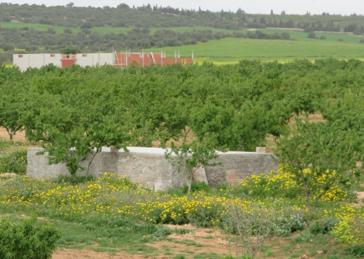 Magnifique ferme de 8 hectares 500