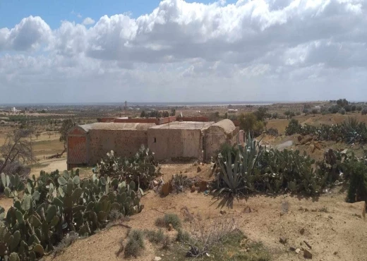 ferme À Vendre à NABEUL - une ferme de 5 hectars  avec maison  A bouficha - Immobiliere.tn