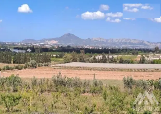 Villa de campagne senia Mornag