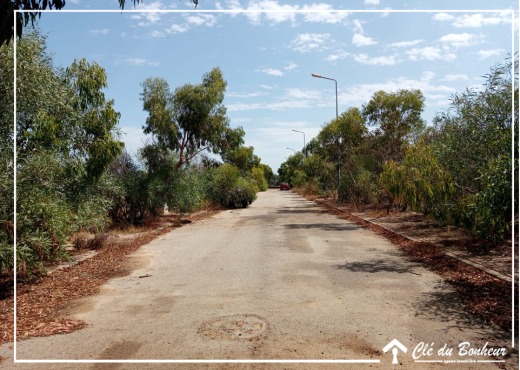 un lot de terrain viabilisé à raoued