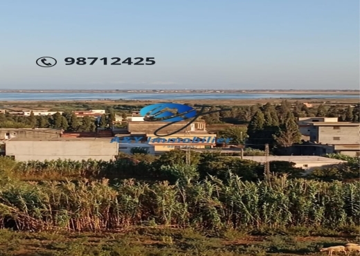 Grand terrain 6000 m² + 2 maisons à Béjou