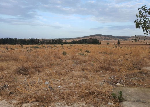 À vendre : terrain agricole de 2 h