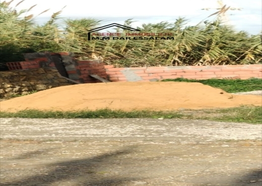 terrain À Vendre à NABEUL - terrain sur la route principal - Immobiliere.tn - Photo 6