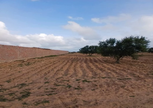 terrain À Vendre à SFAX - A Vendre Terrain a Route Soltania - Immobiliere.tn - Photo 4