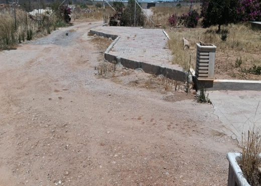 terrain