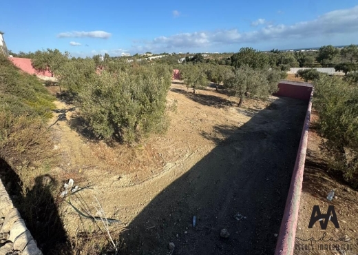 Terrain à vendre vue de mer