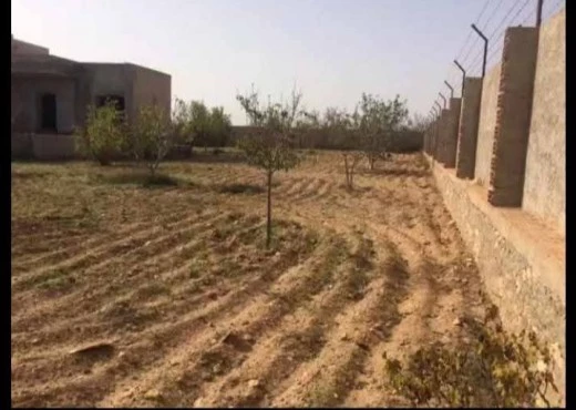 maison À Vendre à SFAX - A Vendre maison route teniour Sfax - Immobiliere.tn - Photo 4