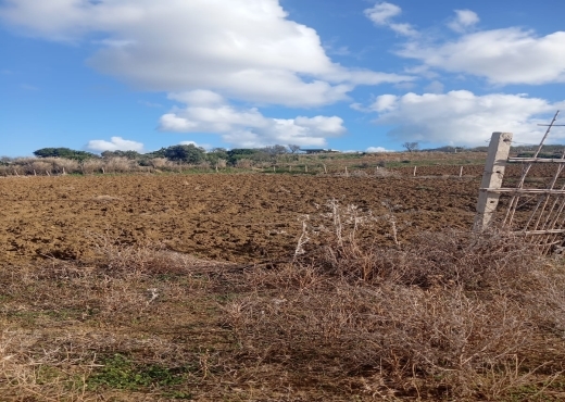 📍🌿 Terrain 2329 m² à Béjou – Ghar El Melh