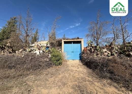 أرض فلاحية للبيع