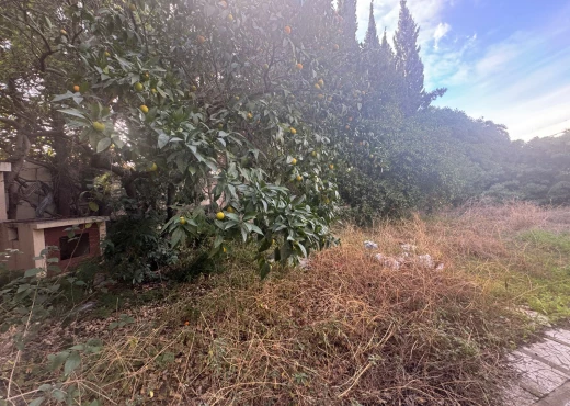 maison À Vendre à TUNIS - villa de coin 950 m² à Menzah 1 - Immobiliere.tn