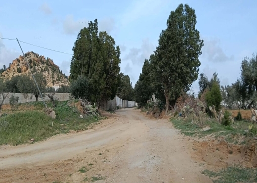 terrain À Vendre à NABEUL - Terrain agricole à vendre - Immobiliere.tn - Photo 4