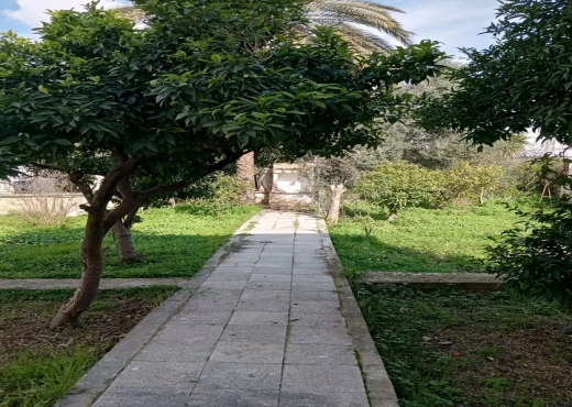 Menzeh 1