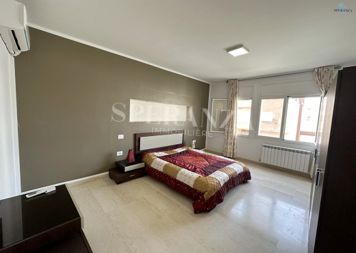 Location Appartement Vallie S+2