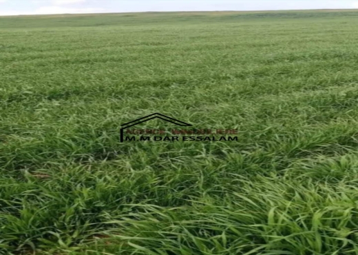 terrain agricole à vendre