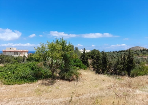 Terrain a raf raf  9300m²