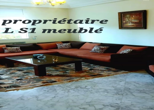 Appartement À Louer à ARIANA - T bel Apt S+1 meublé pour étranger - Immobiliere.tn