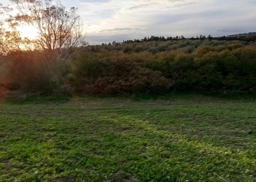 🌿 Terrain à vendre à Ras El Jebel – Bizerte 🌿