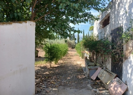 A Vendre Ferme + 2 Maison a Zaghouan