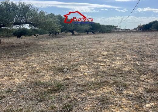 5000 m² clôturé