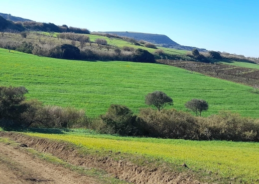 Terrain à  raf raf  de 2400 m².