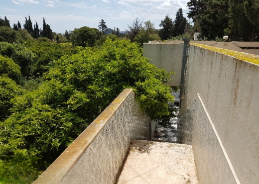 Maison de campagne 5000 m²  Ras je