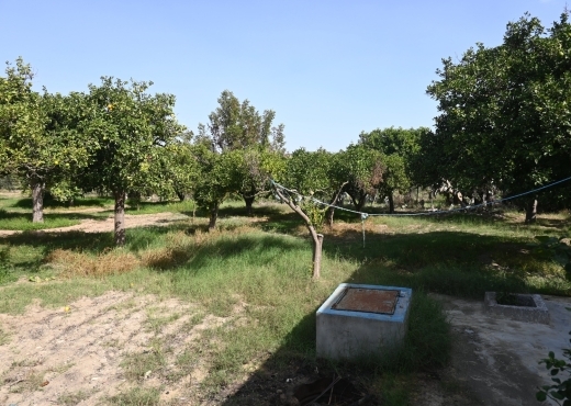 A vendre une ferme à Nabeul