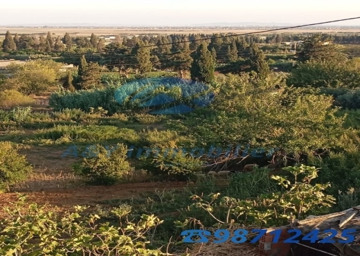 Grand terrain 6000 m² + 2 maisons à Béjou