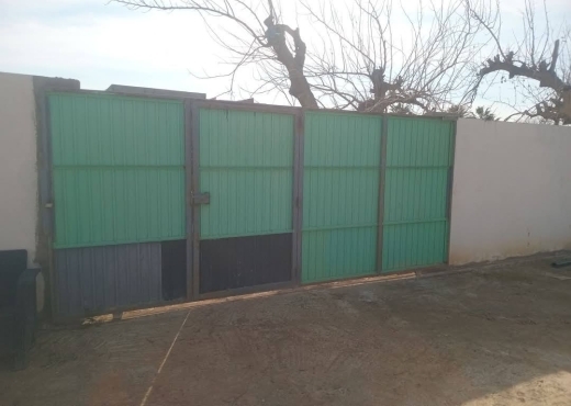 للبيع فيرمة لوز و زيتون و غلال أخرى