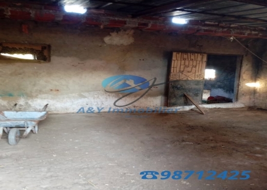 Grand terrain 6000 m² + 2 maisons à Béjou