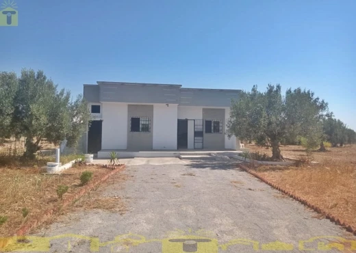 terrain À Vendre à NABEUL - 🌿 للبيع ضيعة فلاحية بطريق بوفيشة 🌿 - Immobiliere.tn - Photo 5