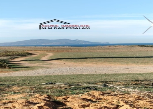 terrain près de la mer