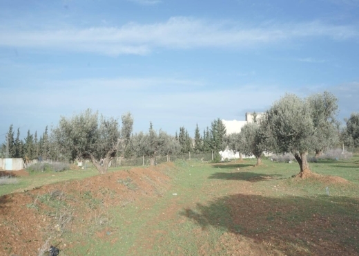 terrain À Vendre à ARIANA - A vendre terrain a Sidi Thabet - Immobiliere.tn