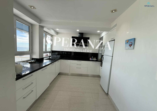 Location Appartement Daniel S+2