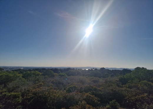 Terrain à Gammarth – El Marsa