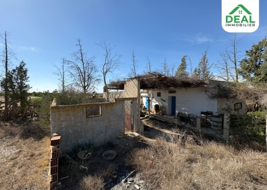 أرض فلاحية للبيع