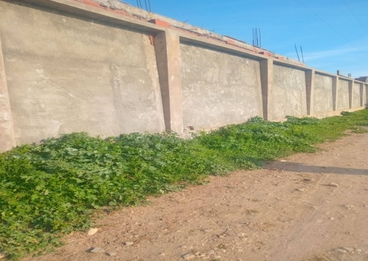 للبيع قطعة أرض في السعيدة-وادي الليل