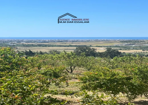 terrain À Vendre à NABEUL - terrain avec une vue agréable - Immobiliere.tn
