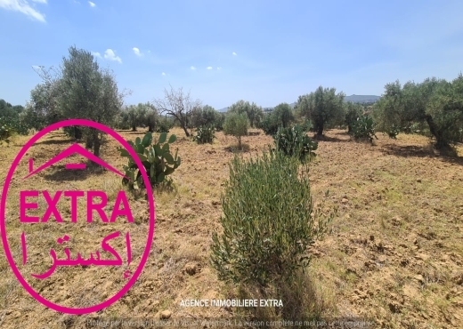 Campagne à el hwaria de Nabeul