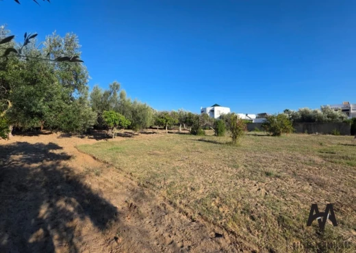 terrain À Vendre à NABEUL - Terrain Agricole 4 002 m²– Nabeul - Immobiliere.tn - Photo 6