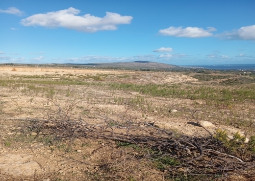 À vendre : Terrain agricole à Béjou