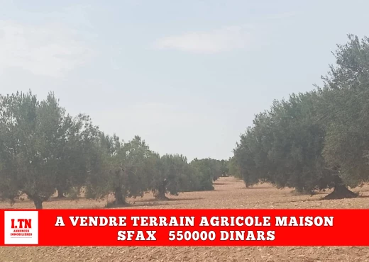 ferme À Vendre à SFAX - A Vendre ferme avec maison Sfax - Immobiliere.tn - Photo 2