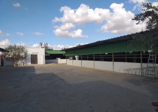 A Vendre Projet Agricol Rte Gremda
