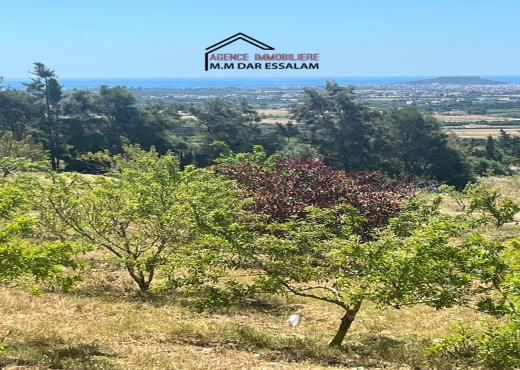 terrain À Vendre à NABEUL - terrain avec une vue agréable - Immobiliere.tn - Photo 3